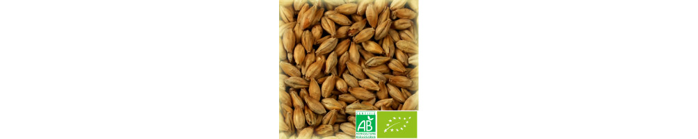 Malts spéciaux Bio