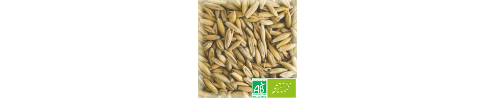 Malts d'Avoine Bio