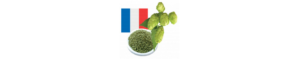 Houblon Français