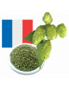 Houblon France