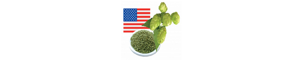 Achat Houblon - États-Unis (USA)