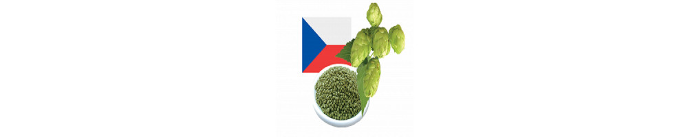 Achat Houblon République tchèque