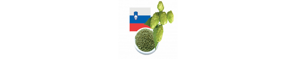 Achat Houblon Slovénie