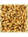 Ingrédients de brassage