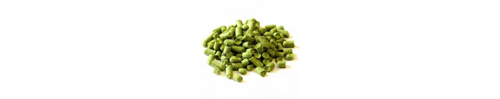 Houblon en cône et pellets pour le brassage de la bière