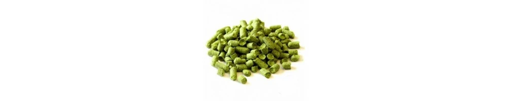 Houblons en cônes et pellets