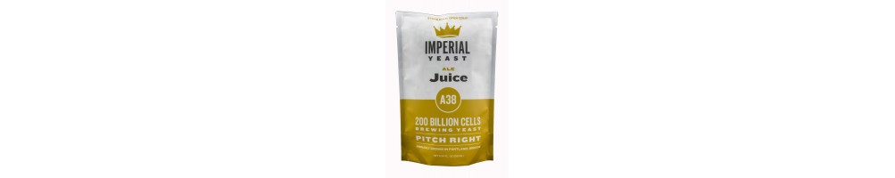 Levures à bière liquides Imperial Yeast | Autobrasseur