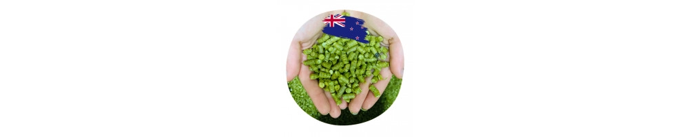 Houblons d'Australie pour le brassage de bière