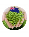 Australie