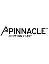 Pinnacle