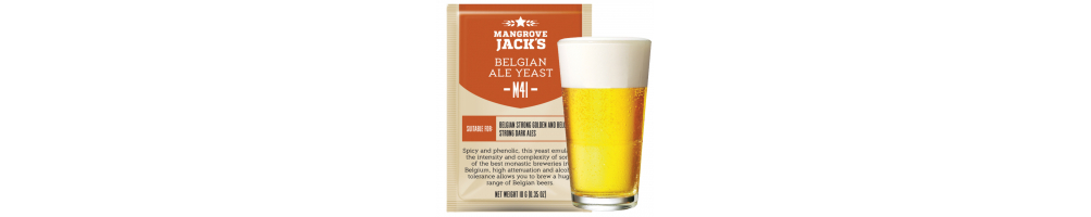 Toutes les levures pour fabriquer votre bière maison