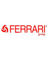 Ferrari Group