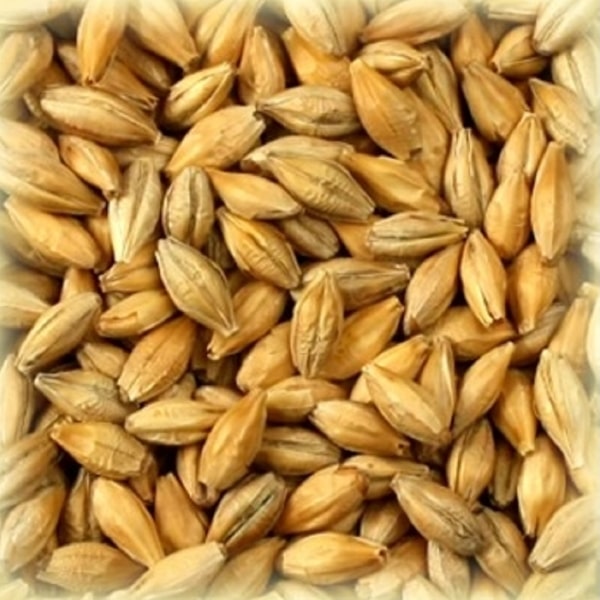 ingredients-brassage-biere