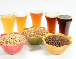 L'influence du malt d'orge et du houblon sur le goût de la bière