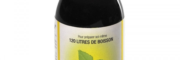 La frênette, une boisson ancestrale aux nombreux bienfaits (+ 2 recettes !) 