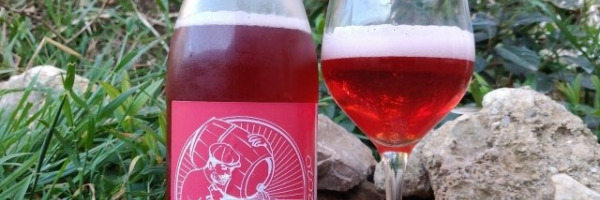 Recette Berliner Weisse Framboise