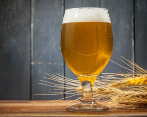 Recette « Golden Strong Ale »