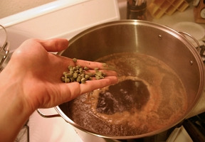 [Guide] Les techniques de houblonnage de la bière
