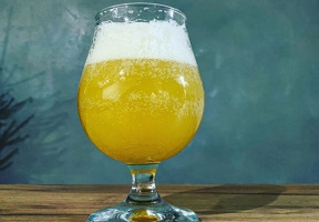 Recette « Duvel Triple Hop Citra (clone) »